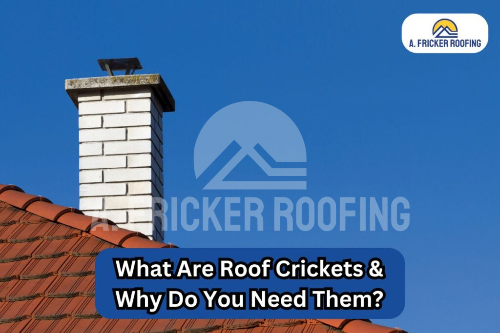 Ads/2023/03/a. -fricker-roofi