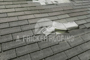 Visible damage to your roof