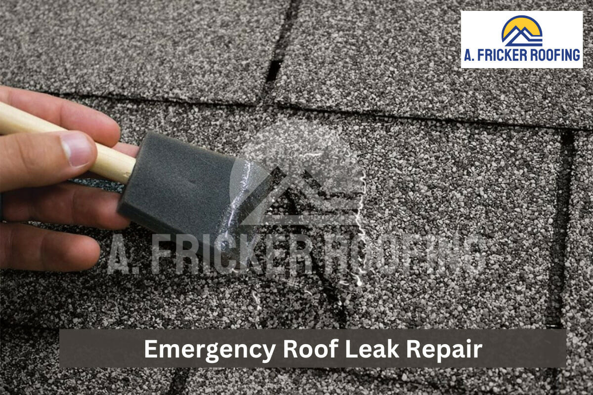 roof leak repair