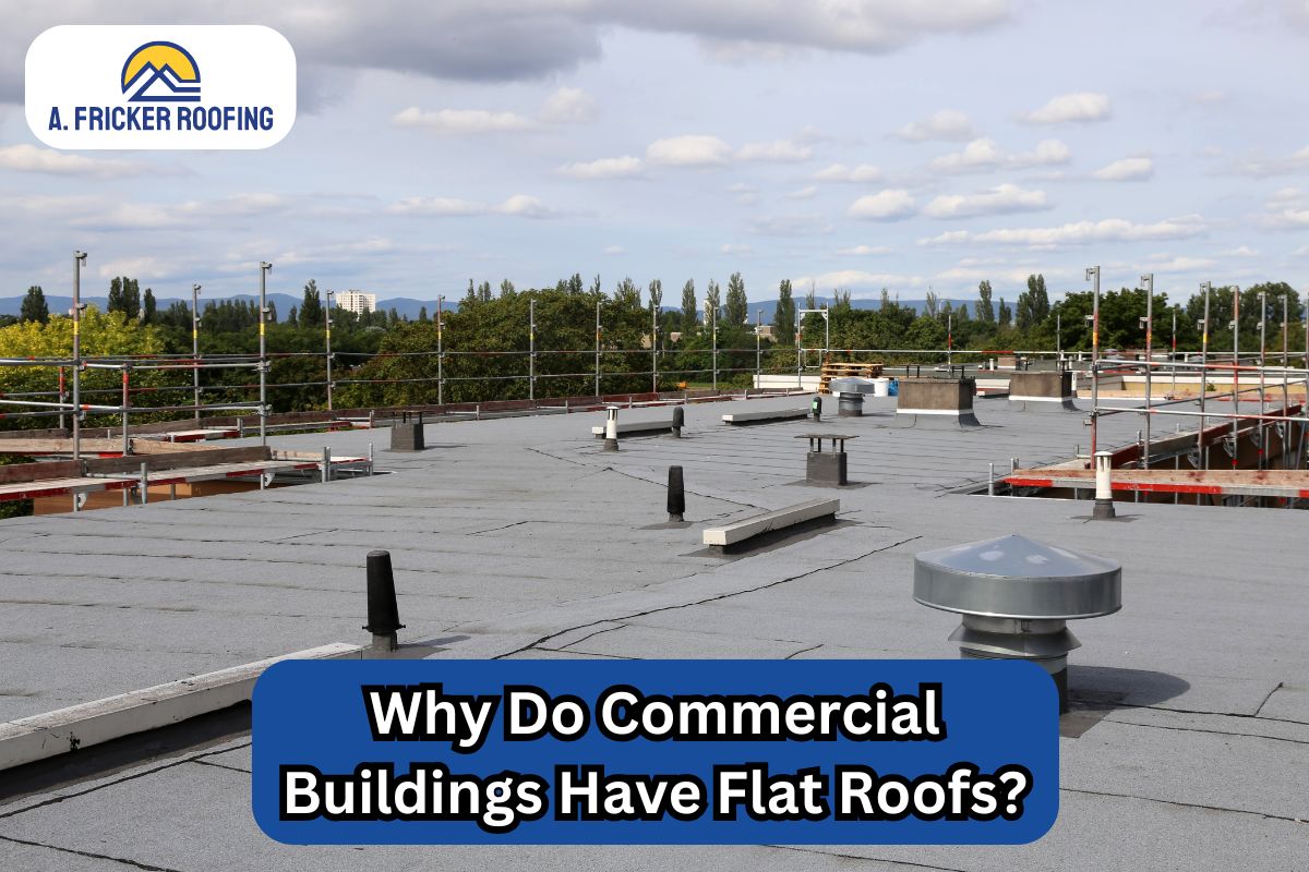 Why Do Commercial Buildings Have Flat Roofs