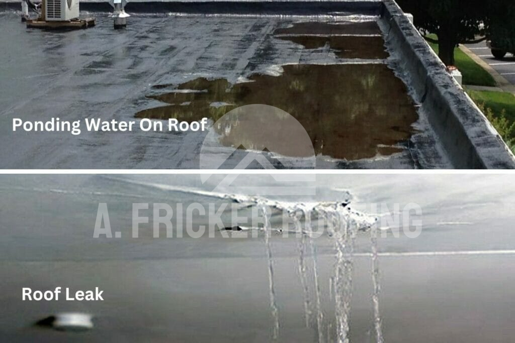 Signs Your Commercial Roof Needs An Inspection : Roof leak and ponding water