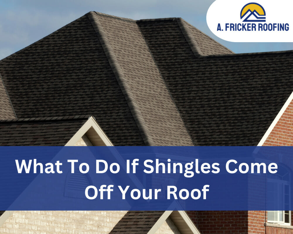 what to do if shingles come off roof