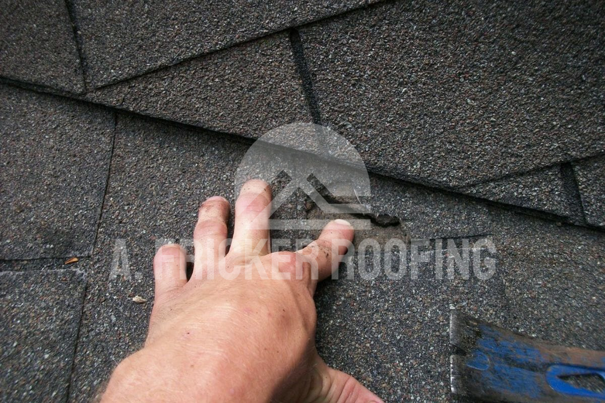 Hand pointing to damaged asphalt roof shingles showing wear and repair needs