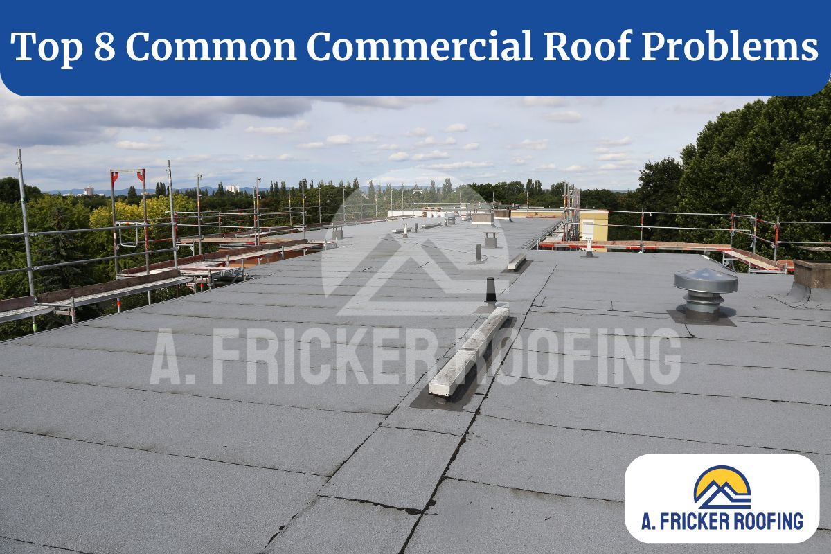 common commercial roof problems