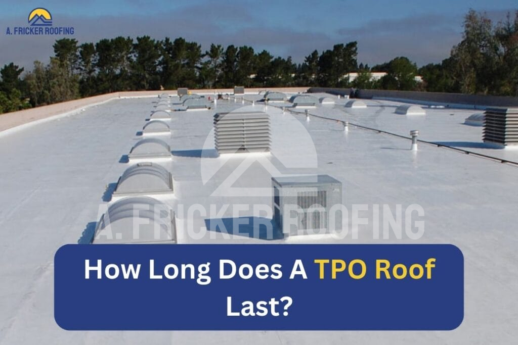 How long does tpo roof last