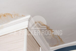 Metal Roof Leak Repair 101: A Step-by-Step Guide