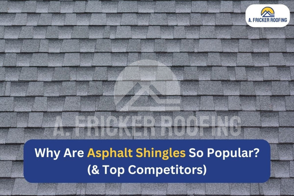 Why are asphalt shingles so popular