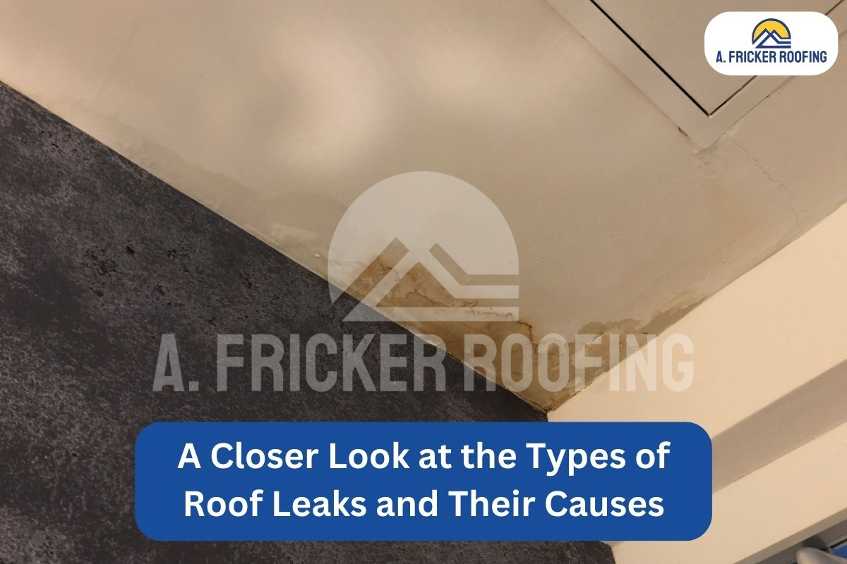 A Closer Look At The Types Of Roof Leaks And Their Causes