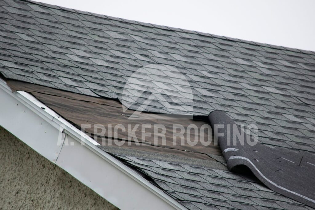 Defective roof shingles