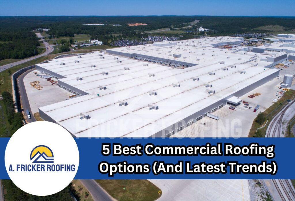Commercial roofing options