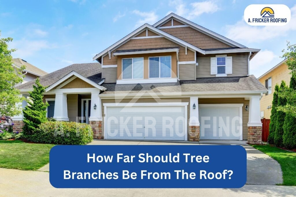 How far should tree branches be from roof