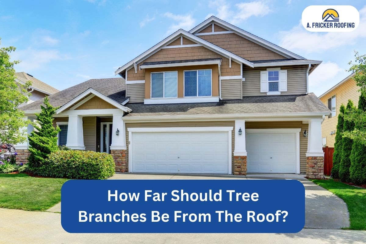 How Far Should Tree Branches Be From The Roof?