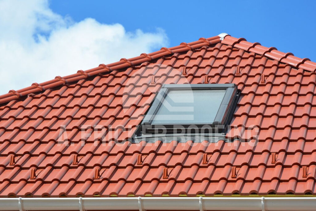 French roof tiles