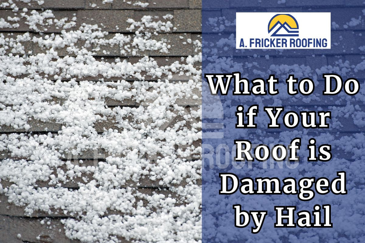 hail damage roof