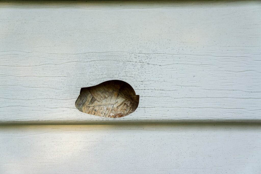 Chips and holes on siding