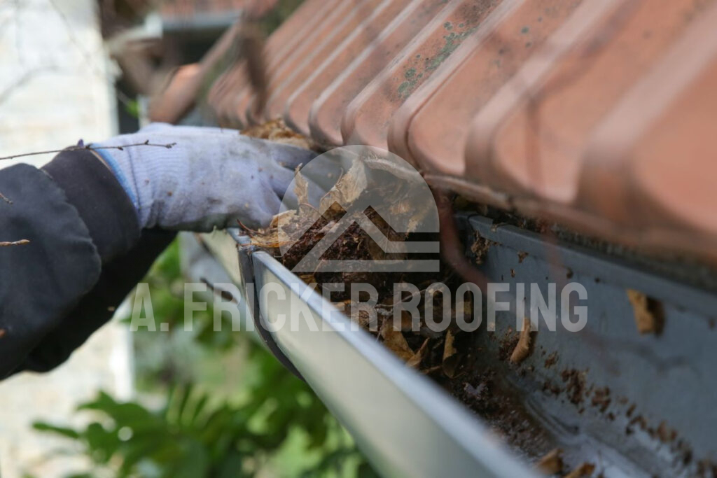 Clean gutters and drains