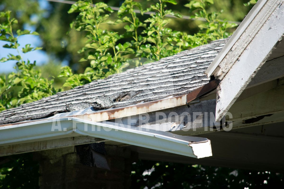 Damaged roof shingles and rotting fascia board showing home exterior repair needs
