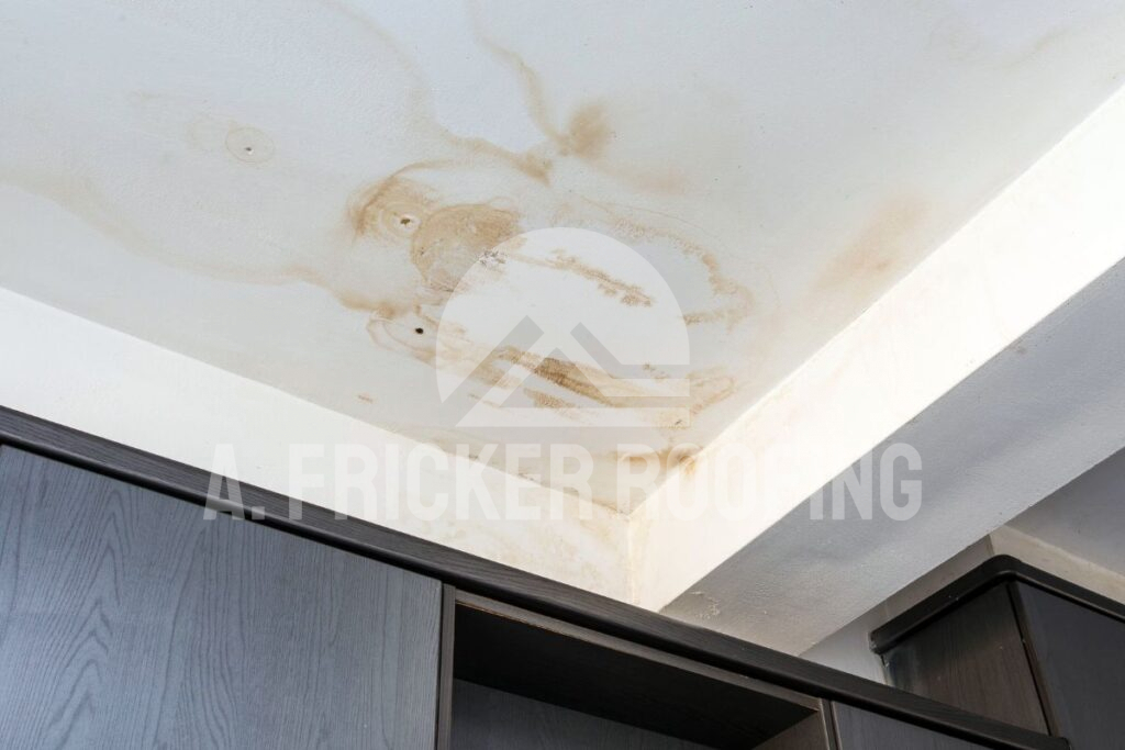 Interior water stains or drips