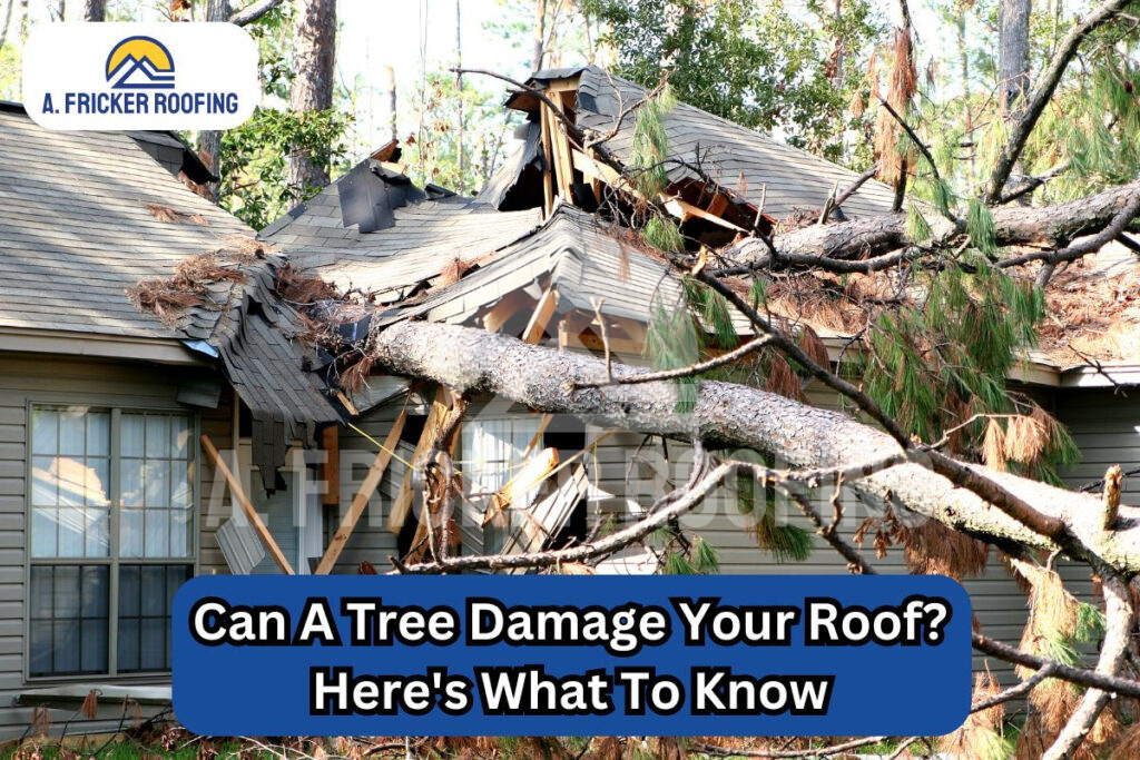 Tree damage to your roof