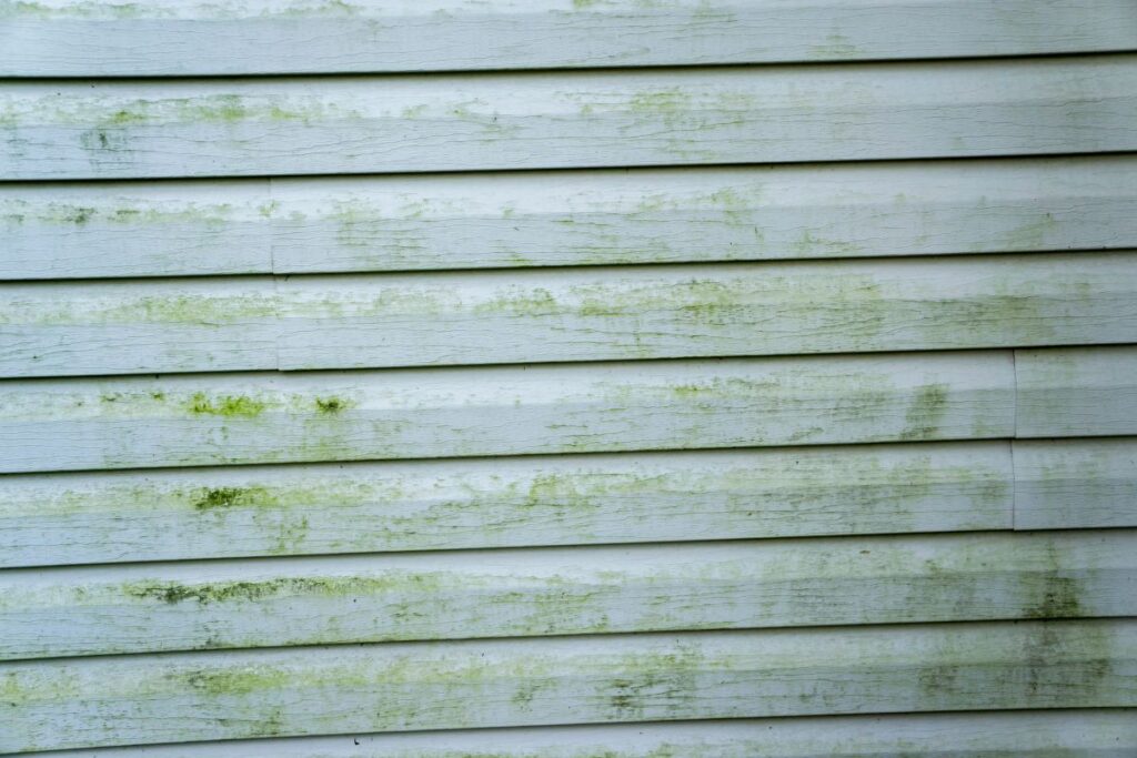 Mold and mildew growth on siding