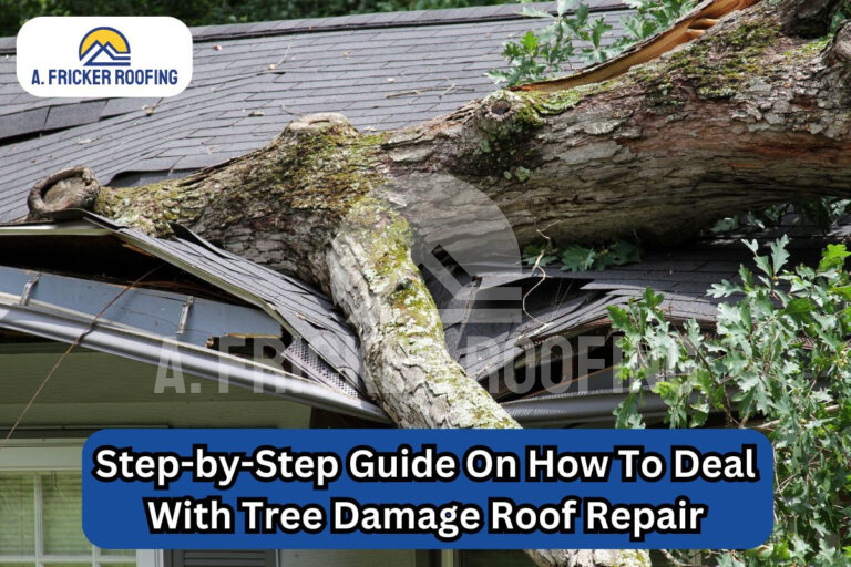 Tree String S From Rrof Step-by-Step Guide On Dealing With Tree Damage Roof Repair