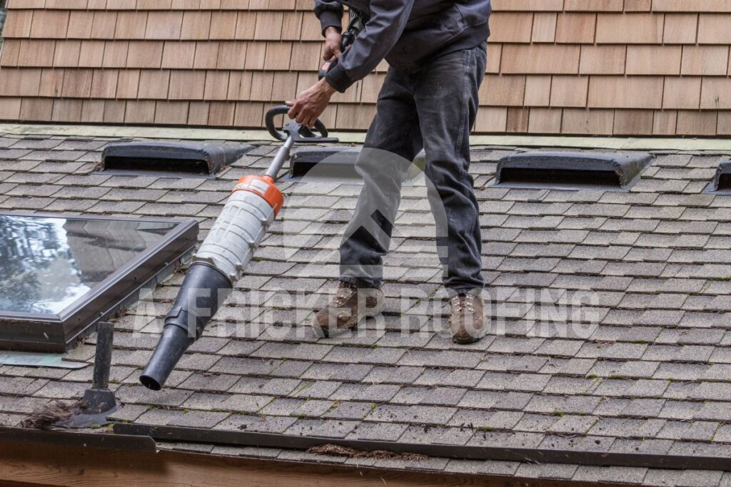 Roof cleaning