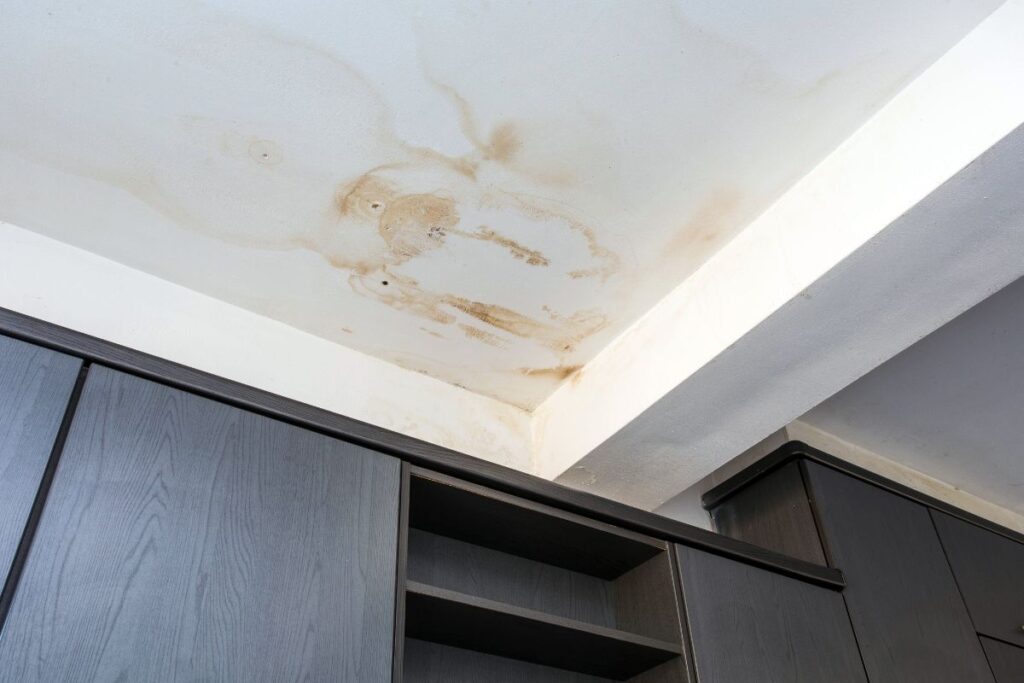 Water stains or leaks inside home