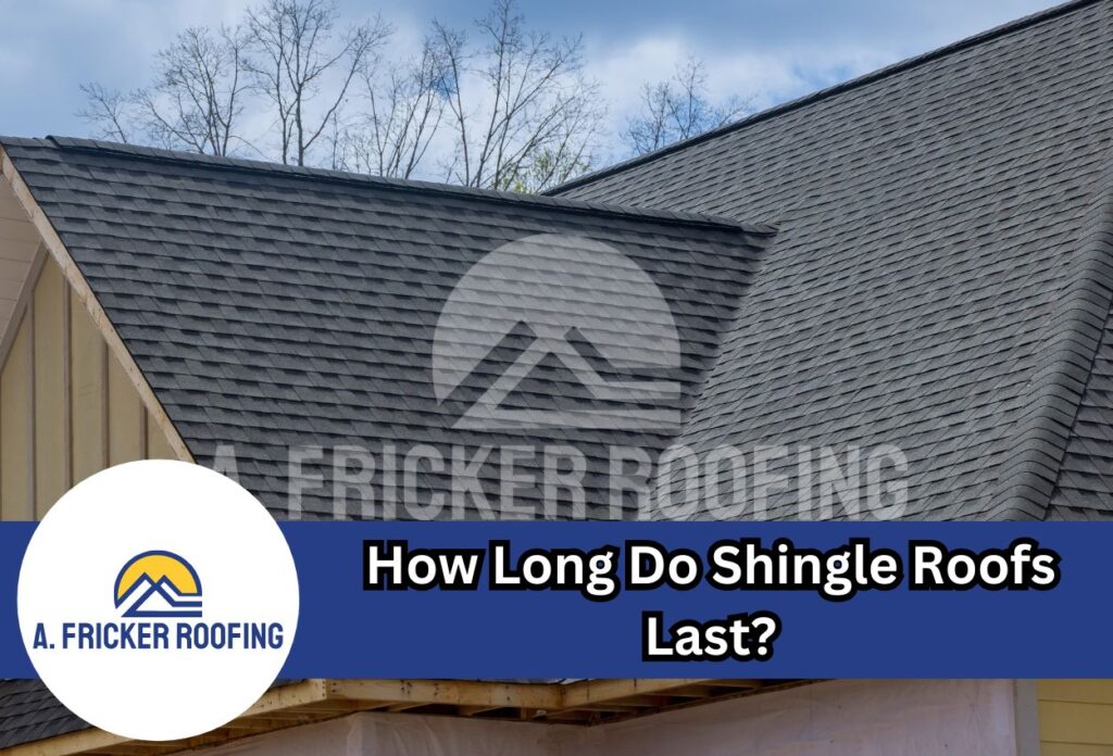 How long do shingle roofs last