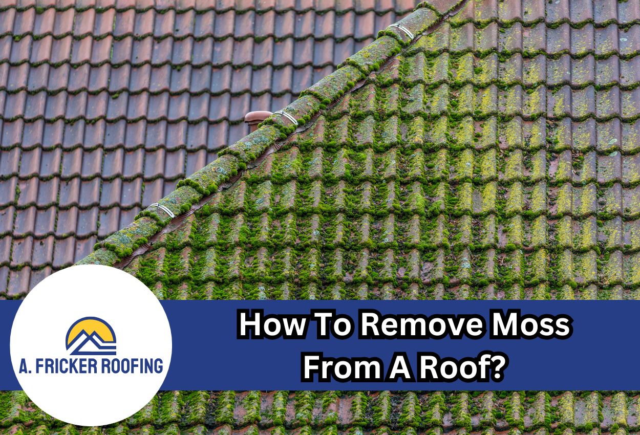 How To Remove Moss From A Roof