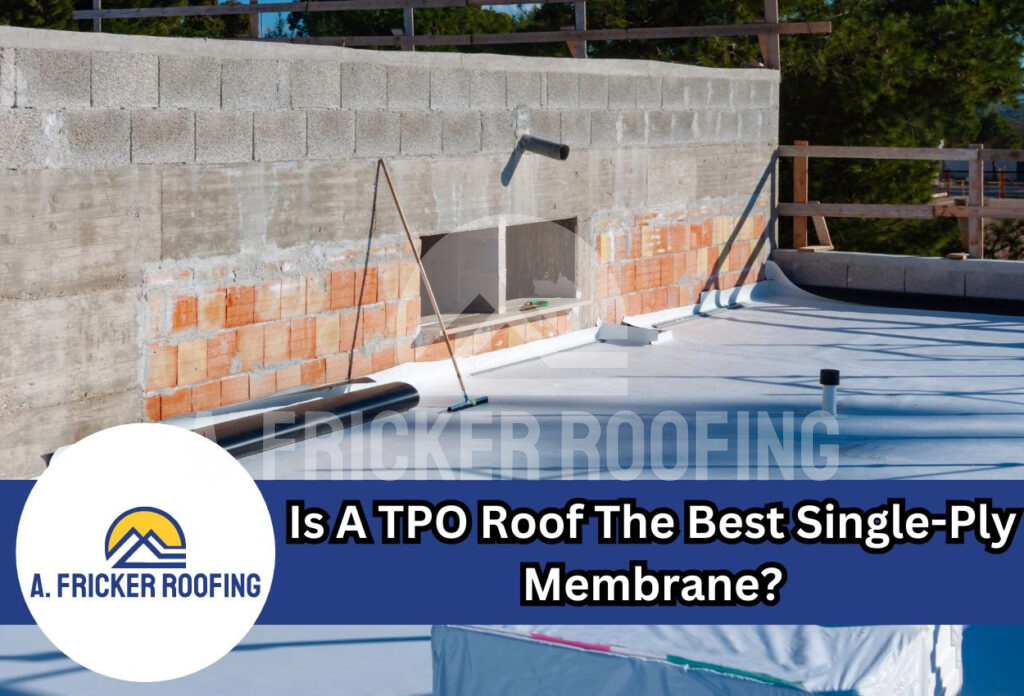 Tpo roof