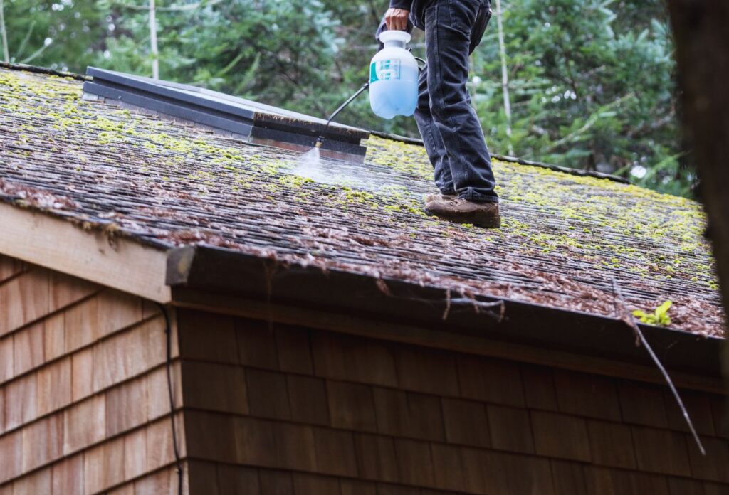 Remove moss from shingles on a roof