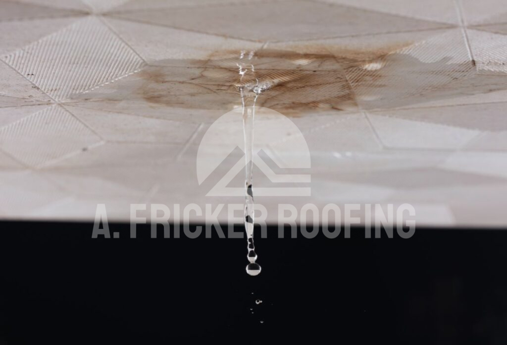 Water leaks or staining on ceilinngs