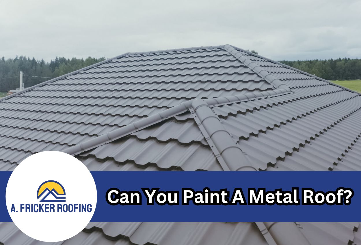 Can You Paint A Metal Roof