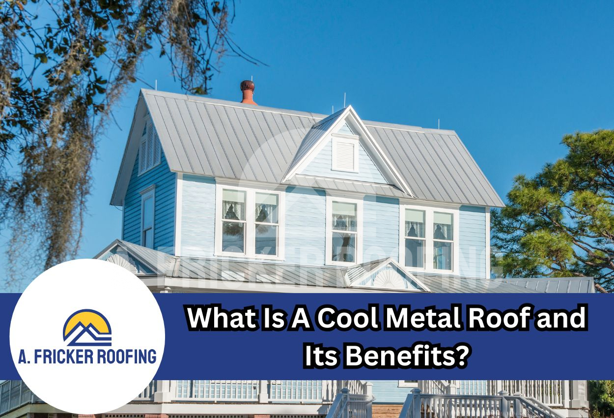 Cool Metal Roof