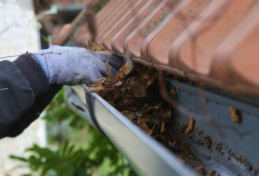 Gutter cleaning