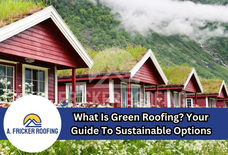 Curated visual reference: What Is Green Roofing Your Guide To Sustainable Options Photo Inspiration