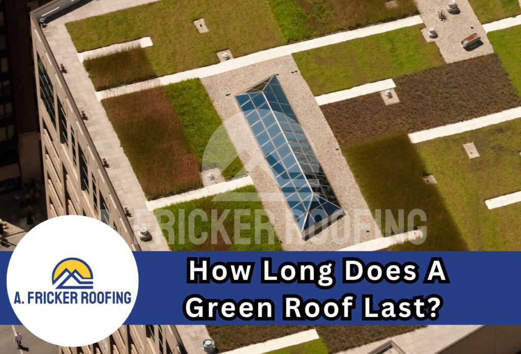 How long does a green roof last