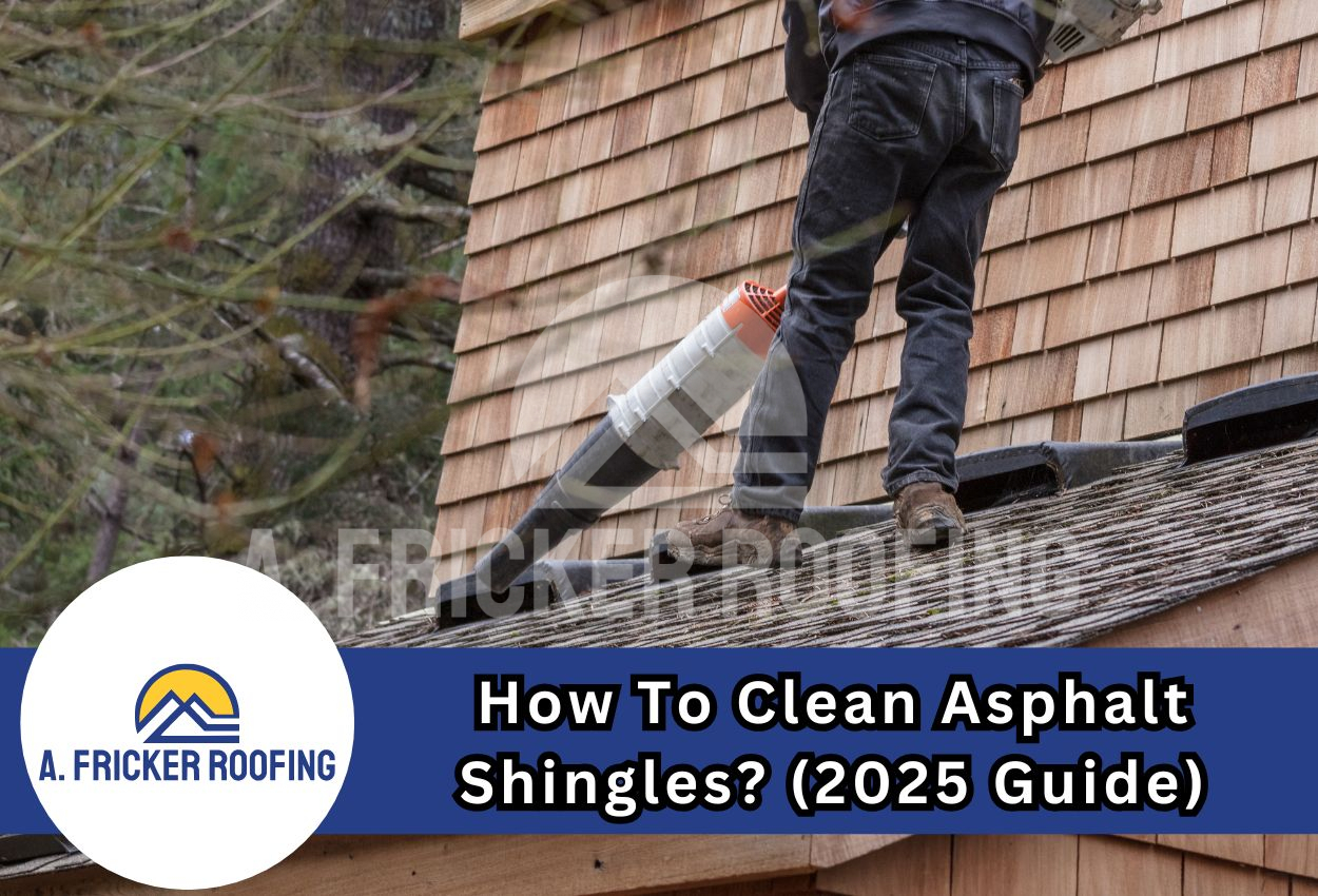Clean Asphalt Shingles