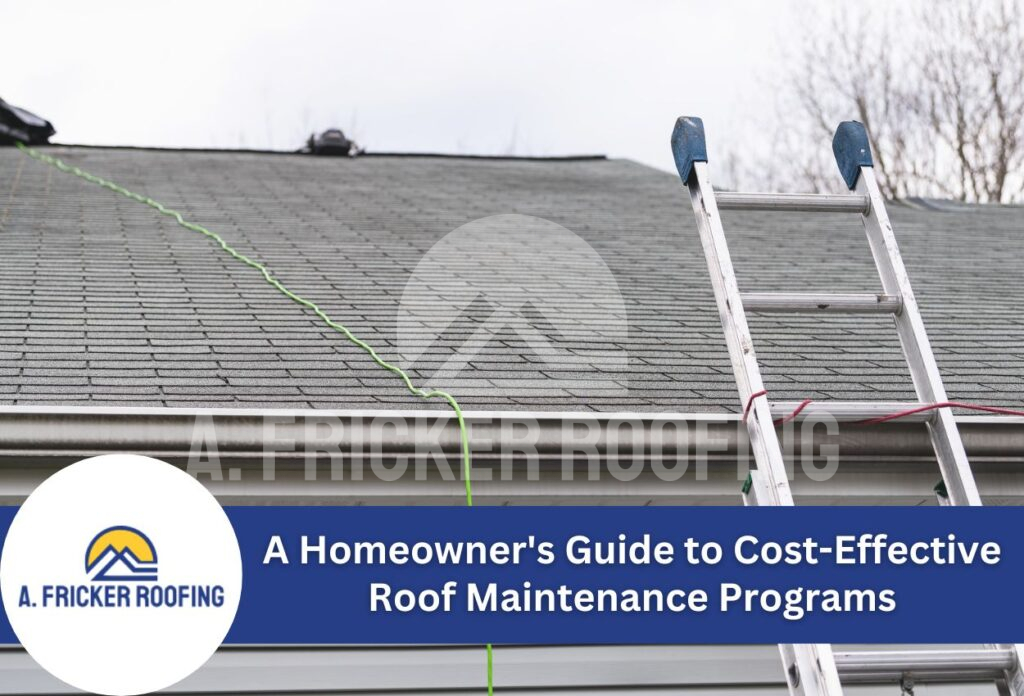 A homeowner's guide to cost-effective roof maintenance programs