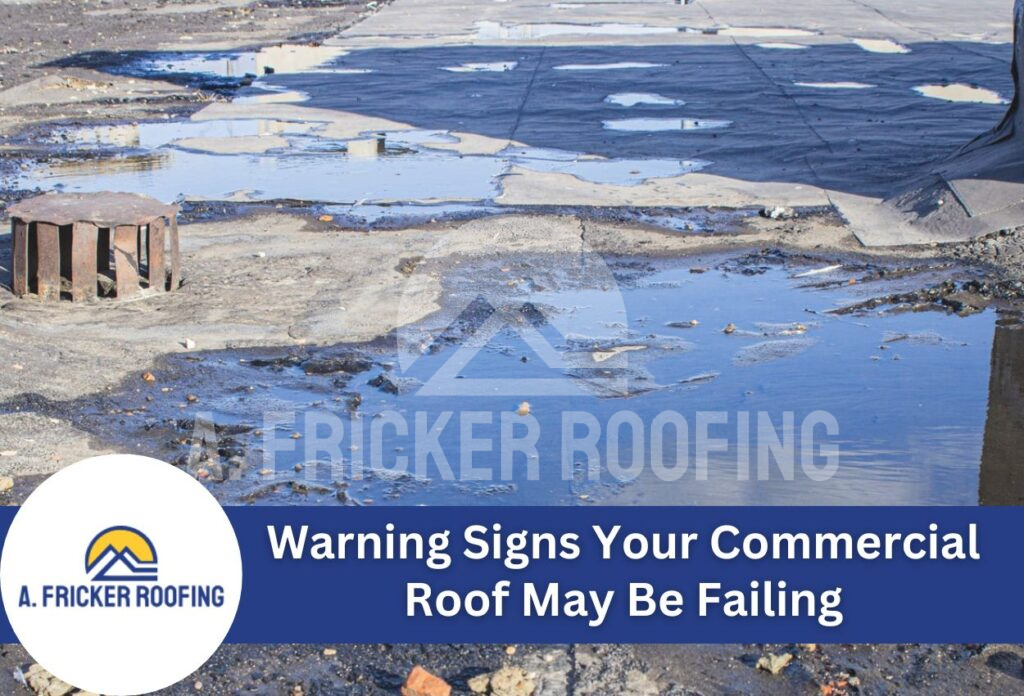 Warning signs your commercial roof may be failing