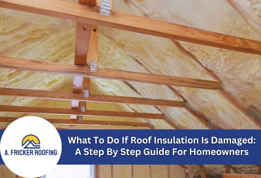 What to do if roof insulation is damaged: a step by step guide for homeowners