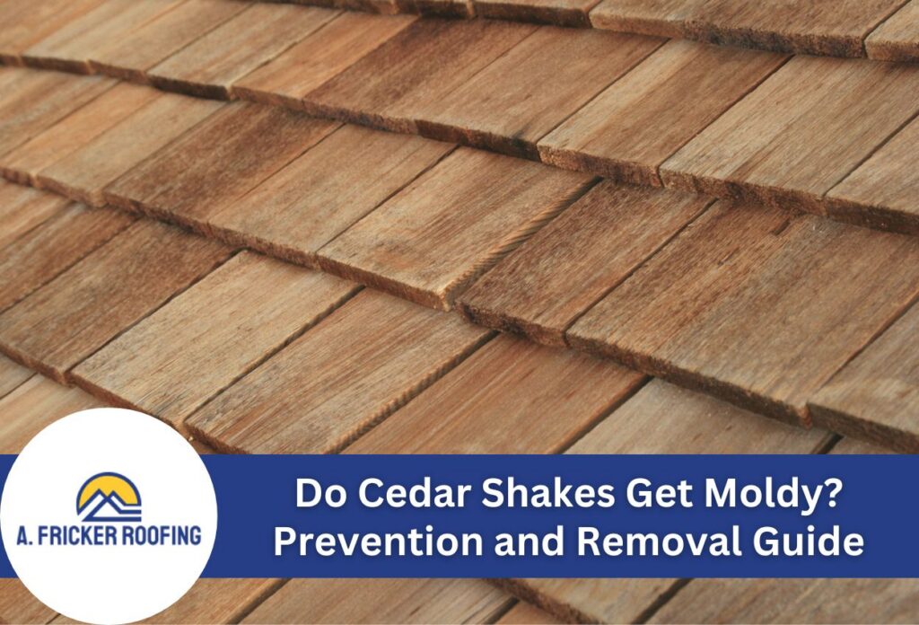 Close-up of cedar shake roofing shingles emphasizing texture and grain.