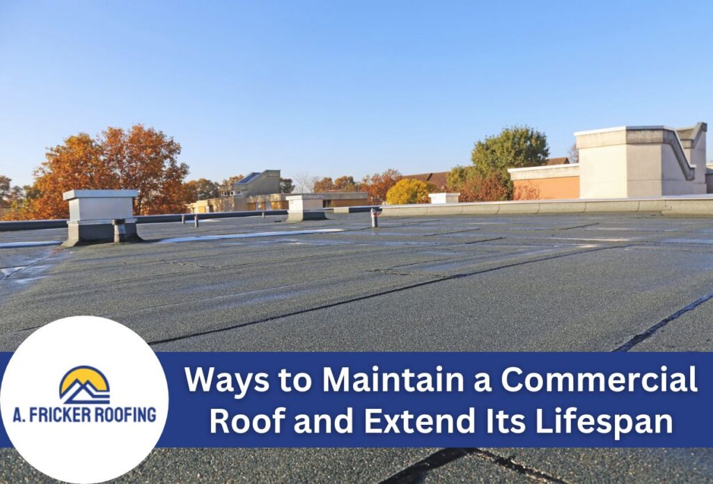 Flat commercial roof with clear sky and autumn trees in the background